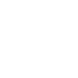 THE AESTHETIK THE AESTHETIK