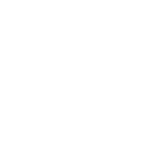 SUREX SECURITY SUREX SECURITY