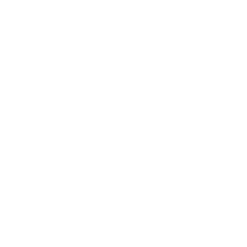 FINE SHINE LOGO